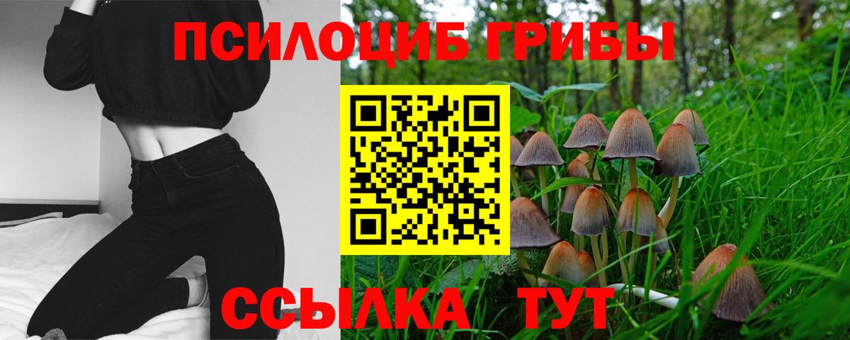Псилоцибиновые грибы мухоморы  купить закладку  Лиски  Вход с VPN 